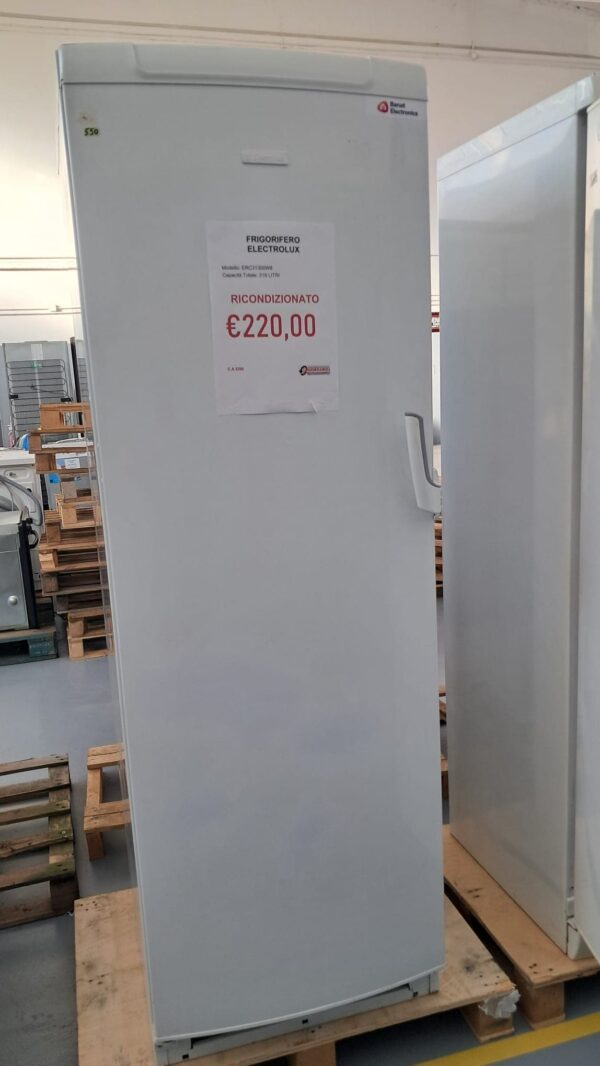 Electrolux-Frigorifero-ERC31300W8-319-Litri-Ricondizionato-Bianco-fronte