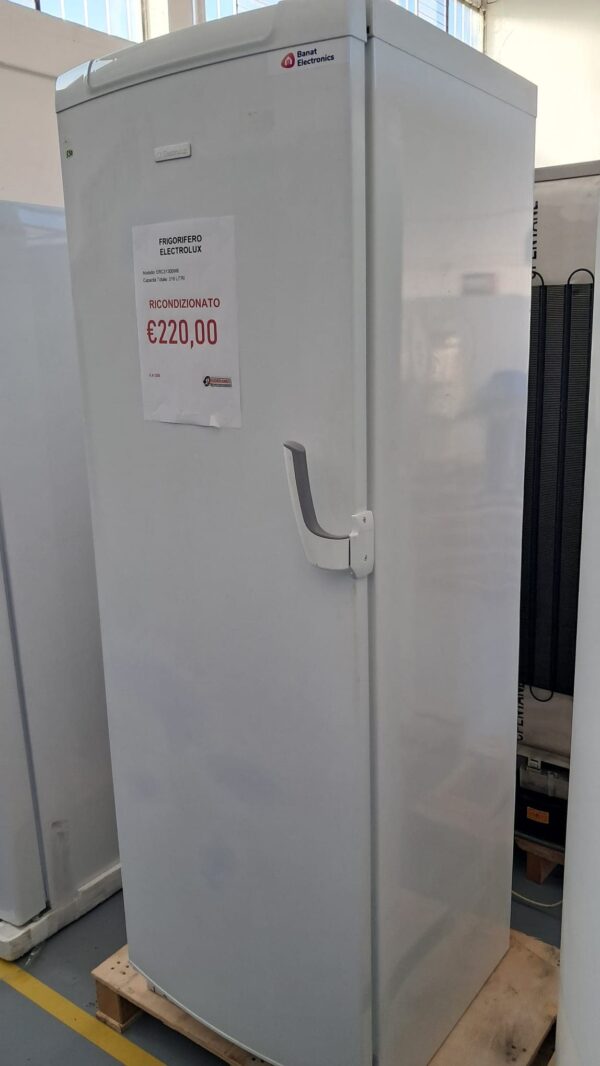 Electrolux-Frigorifero-ERC31300W8-319-Litri-Ricondizionato-Bianco-laterale