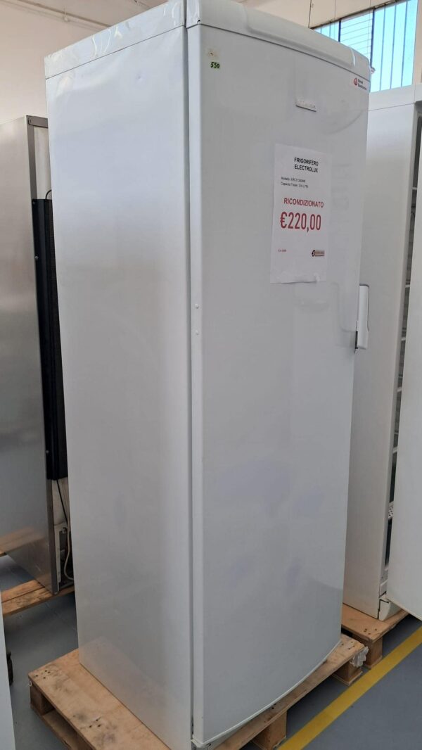 Electrolux Frigorifero ERC31300W8 319 Litri Ricondizionato Bianco - immagine 2