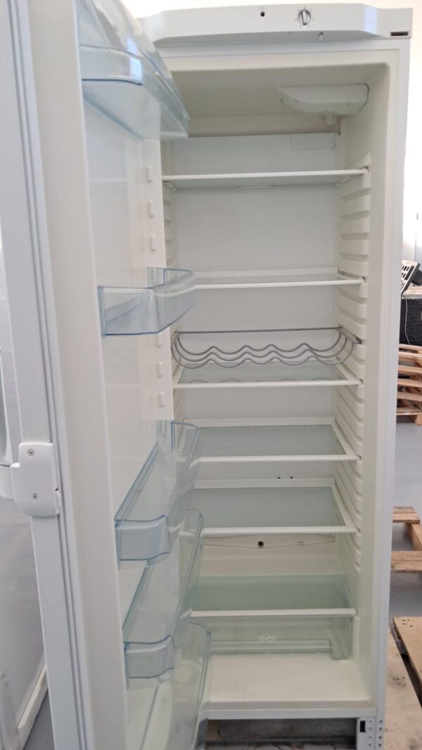 Electrolux-Frigorifero-ERC31300W8-319-Litri-Ricondizionato-Bianco-ripiani
